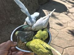-北戴河集发农业梦想王国