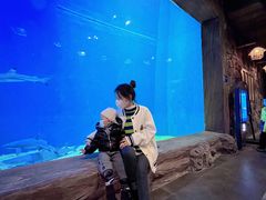 -华夏文旅海洋公园