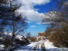 -白草畔自然风景区