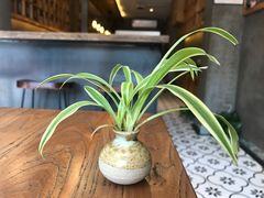 -MAP CHA普洱茶馆(翠湖店)