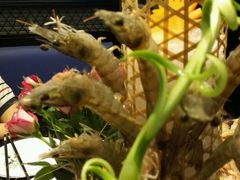 android_upload_pic-渔傅·蓝海岸霞浦海鲜(正祥店)