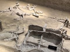 -洛阳周王城天子驾六博物馆