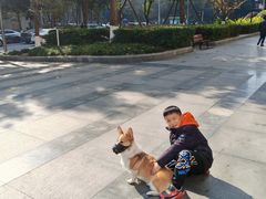 -半岛宠物医院24小时(科华中路店)
