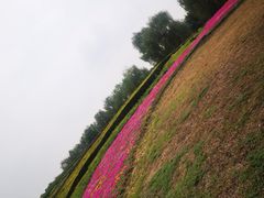 -梁鸿国家湿地公园