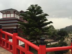 -丹樱生态园