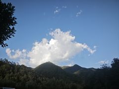 -牛背梁国家森林公园