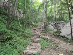 -王顺山国家森林公园
