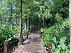 -重庆彩云湖湿地公园