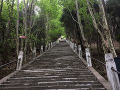 -窦圌山风景区