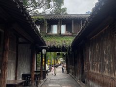 -乌镇西栅景区