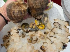 -皇城老妈川味火锅·大连海鲜火锅(港湾店)