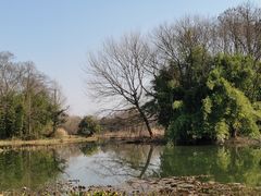 -西溪国家湿地公园