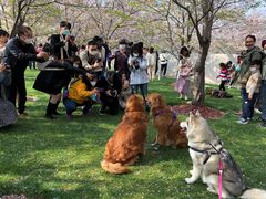 -栖露营camping·天幕烧烤·团建拓展·采摘营地