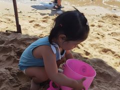 -贝壳沙滩