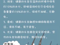 -莲花国际广场
