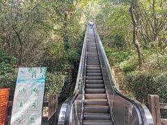 -天目湖山水园