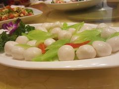 -丁老爷子苏香圆