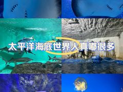 -太平洋海底世界