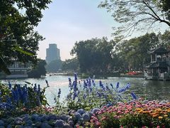 -荔湾湖公园