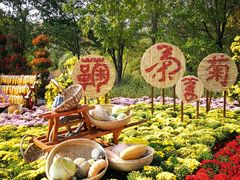 景点-沈阳植物园