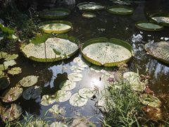 -莲池书院博物馆