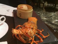 -海航大厦万豪酒店彩海轩中餐厅(霄云路店)