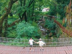 -素山寺森林公园