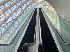 -凤凰中心
