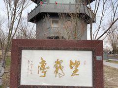 -盐城丹顶鹤湿地生态旅游区