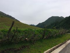 -兰州吐鲁沟国家森林公园