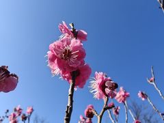 -黄河小浪底水利枢纽风景区