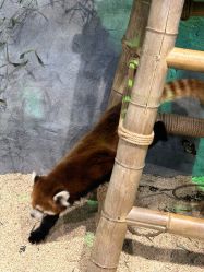 -Zoolung Zoolung动物主题公园(海信广场店)