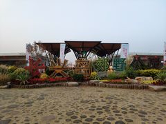 -上海长兴岛郊野公园