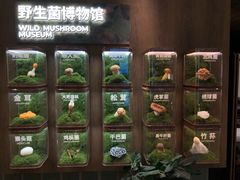 -杭州滨江宝龙城