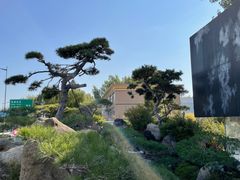 -罗红摄影艺术馆