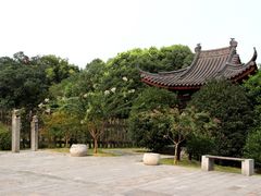 -紫金山天文台