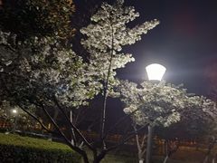 -尚贤河湿地