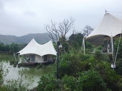 -帐篷客·溪龙茶谷度假酒店