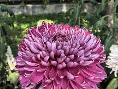 -国家植物园