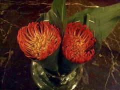 -LONG BAR 廊吧(外滩华尔道夫酒店)