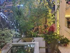 -春树下·树屋花房西餐厅(罍街AS1980店)