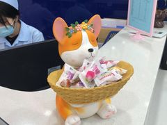 -全心全意连锁动物医院(石景山店)