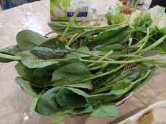 -香满锅老北京羊蝎子火锅·家常菜(新街口店)