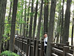 -东湖落雁景区
