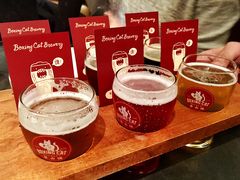 -Boxing Cat Brewery拳击猫精酿啤酒馆(永福店)
