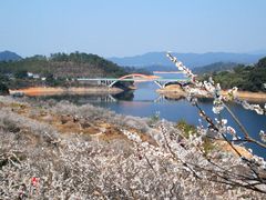 -广州市流溪河国家森林公园