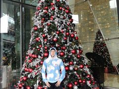 -广州四季酒店·佰鲜汇·现代法餐