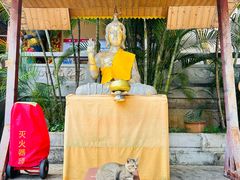 -西双版纳勐泐文化旅游区