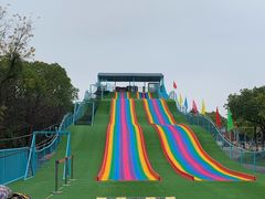 -上海海湾国家森林公园