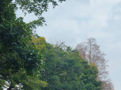 -四海公园(南山区)